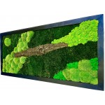 Machový obraz mix machu - kôra 128 * 60cm - drevený rám čierny